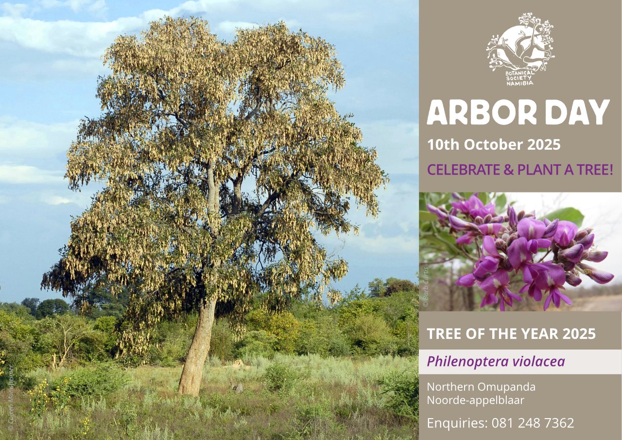Arbor Day 2025