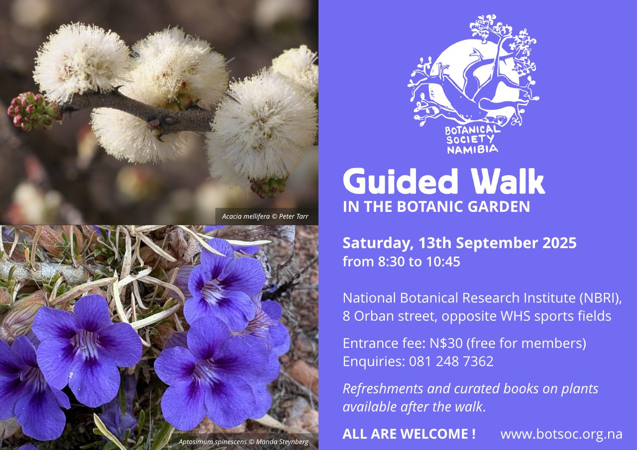 BotSoc Guided Walk