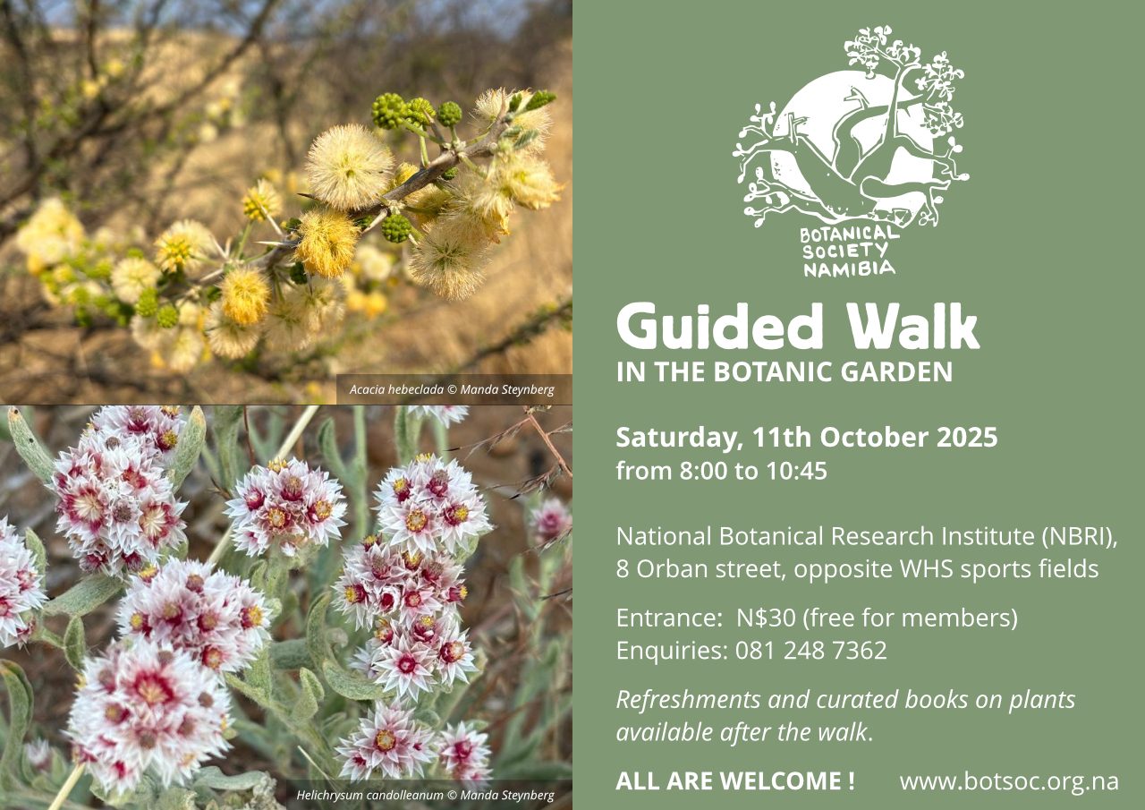 Guided Walk 11th October