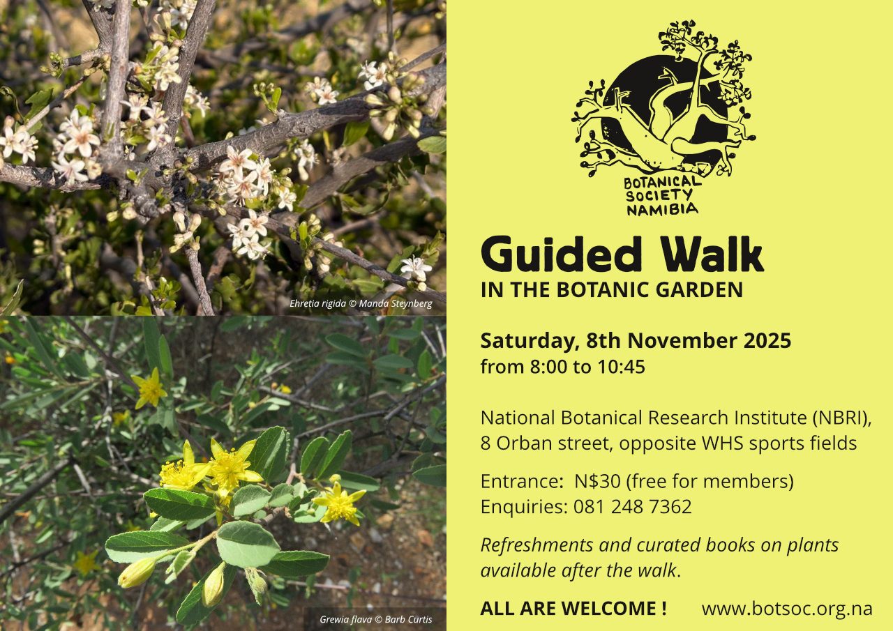 Guided walk 8th November