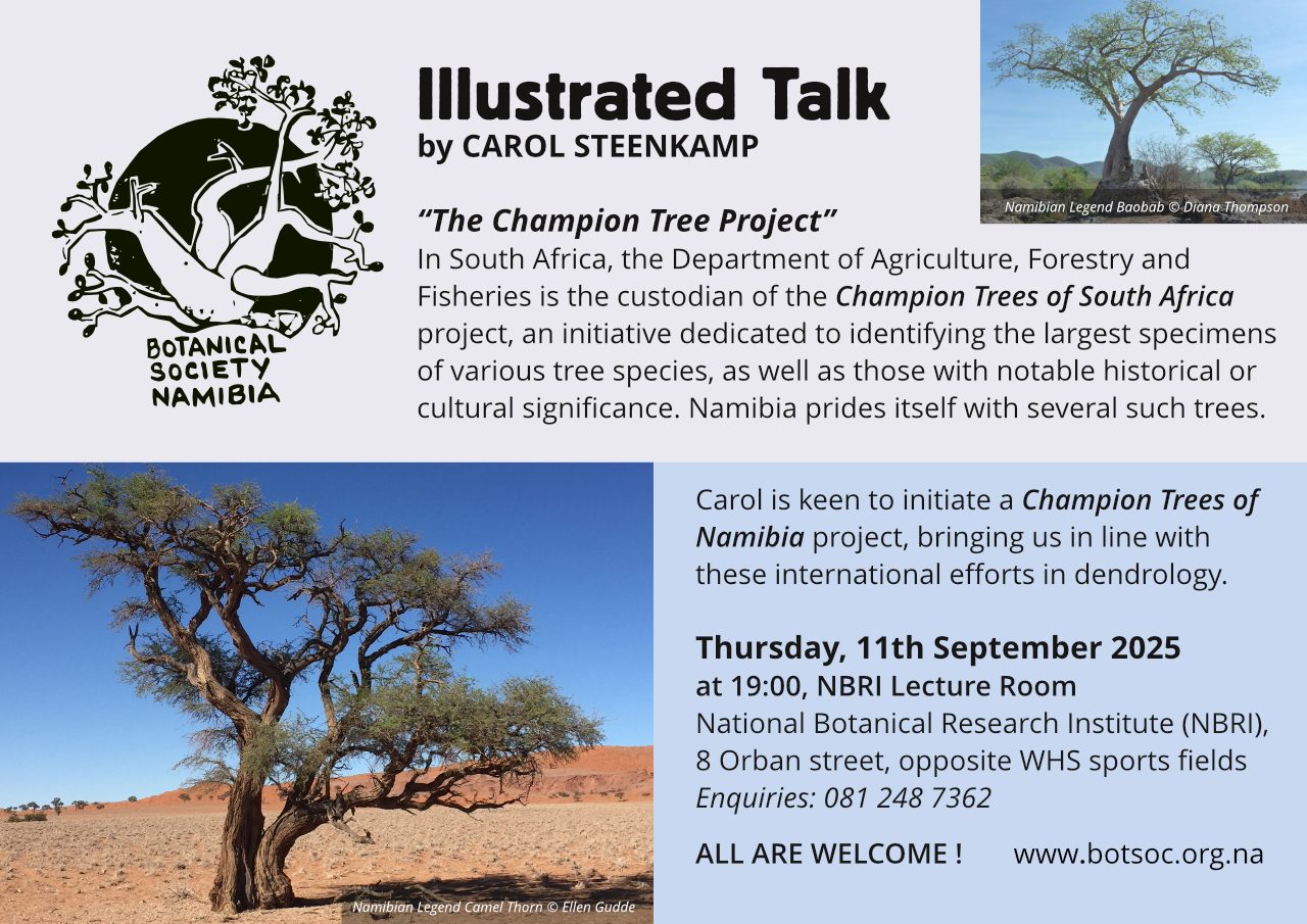 BotSoc Illustrated Talk
