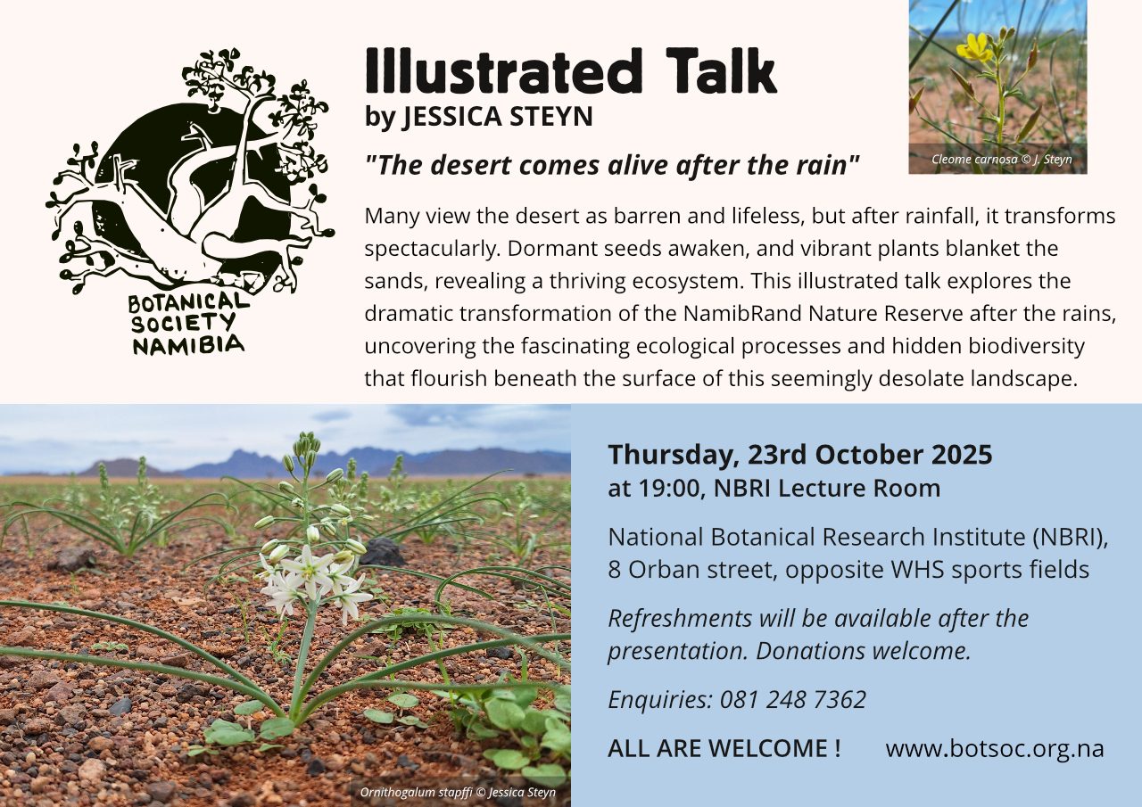 BotSoc Illustrated Talk