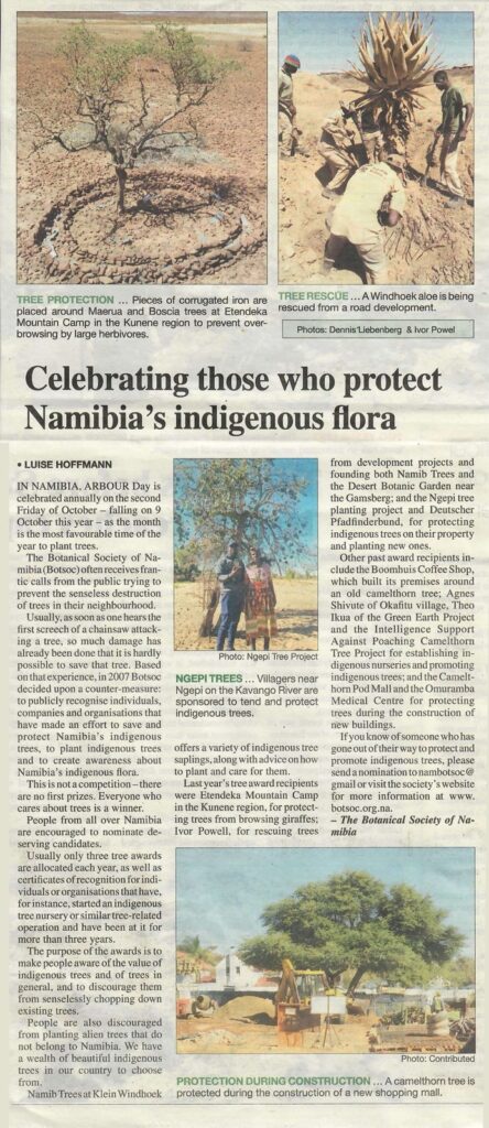Tree-awards-article